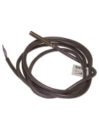 Sonda LG-NI 1000- SIEMENS - QAP21.3