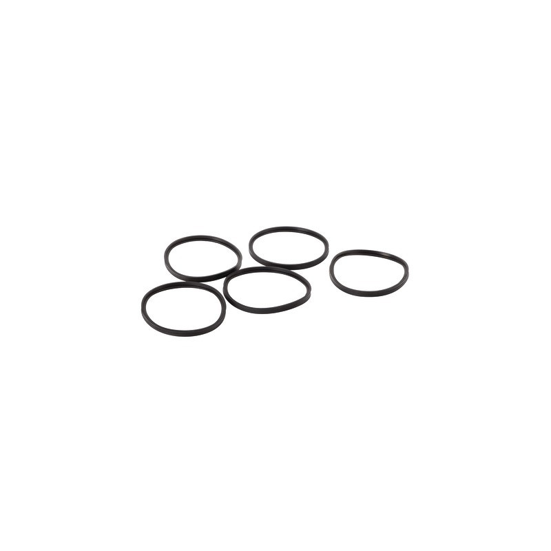 Guarnizione d.100mm (x5)- DE DIETRICH - S101643  - (X5)