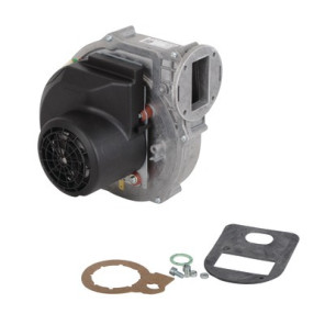 Ventilatore rg148/1200-3633- DE DIETRICH - S101726