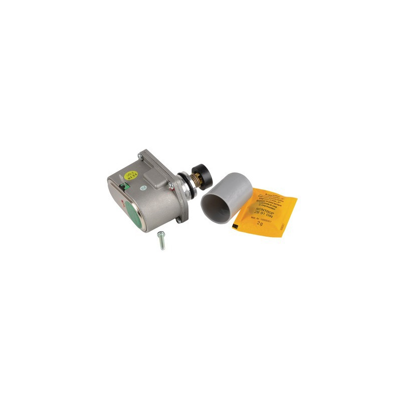 Motore G20- SAUNIER DUVAL - S1218900
