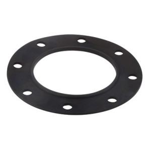 Guarnizione flangia- CHAPPEE - S19000022