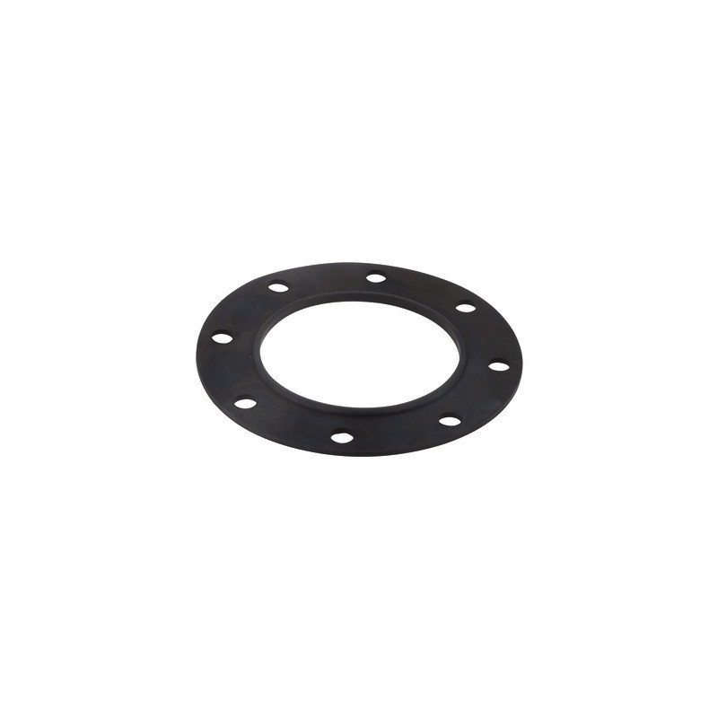 Guarnizione flangia- CHAPPEE - S19000022