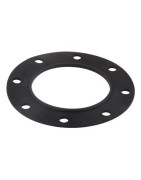 Guarnizione flangia- CHAPPEE - S19000022