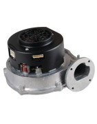 Estrattore RG128/1300-3612- CHAPPEE - S58209911 Estrattore RG128/1300-3612- CHAPPEE - S58209911