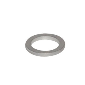Joint pour sonde de depart wgb- CHAPPEE - SRN636070