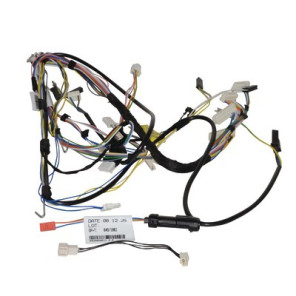 Cablaggio principale- SAUNIER DUVAL - S1079600