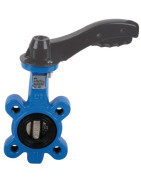 Valvola a farfalla con orecchie filettate d150- DIFF - 110179