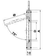 Valvola di ritegno a battente acciaio inox fkm 200- DIFF - 110277