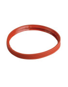 Guarnizione aria a labbro d:100 dopo 2001- FRISQUET - F3AA40682