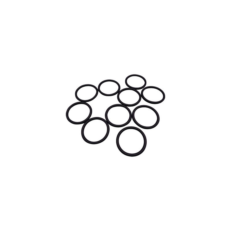 Anello OR 22x2.5 (x10)- DE DIETRICH CHAPPEE - S100816  - (X10)
