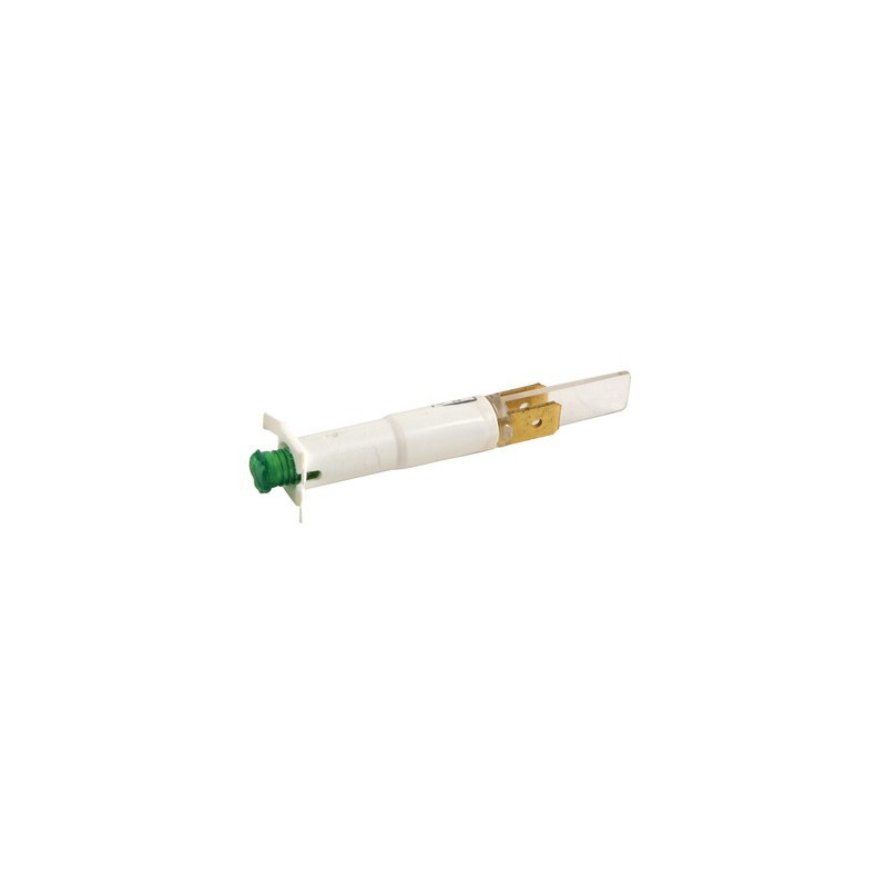 Lampada verde- RIELLO - 4034453