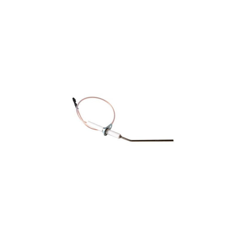 Elettrodo rilevazione- RIELLO - 4050365