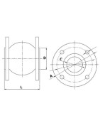 Compensatore con flange Ø50- DIFF - 110290