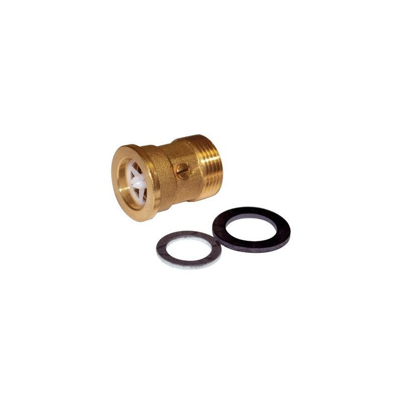 Kit valvola di ritegno 3/4- FERROLI - 39811270