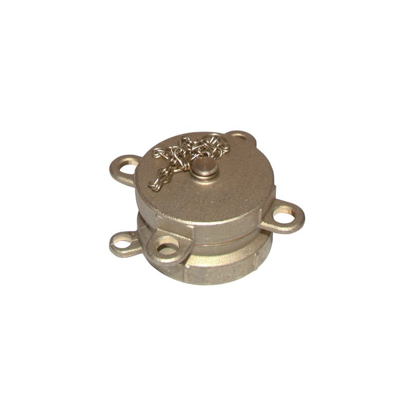 Raccordo di carico attacco F Ø 2" con tappo da avvitare- DIFF - 903487