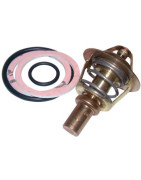Regolatore di flusso- FRISQUET - F3AA40021